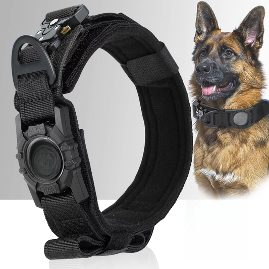 PROMOPET099 - Collier pour chien avec support et poignée + mini traceur GPS intelligent + brosse à vapeur pour animaux de compagnie rechargeable par USB