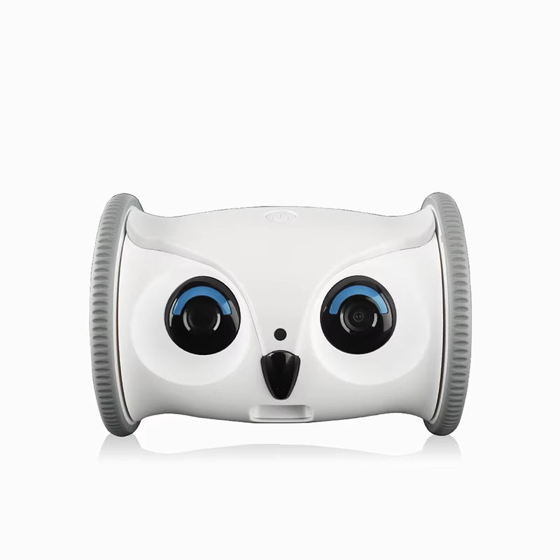 Upgraded Automatic Smart Pet Toy Interactive Owl Robot Wifi With1080P Hd Video Camera Cat Dog Pet Supplies